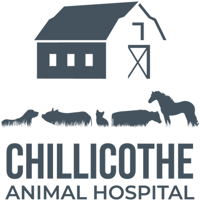 Chillicothe Animal Hospital